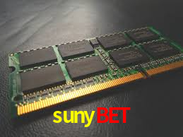 sunybet: Seu Cassino Premiado com Pagamentos Rápidos