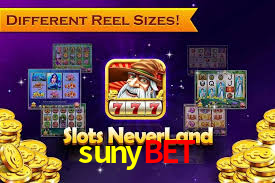 Premium Interface sunybet